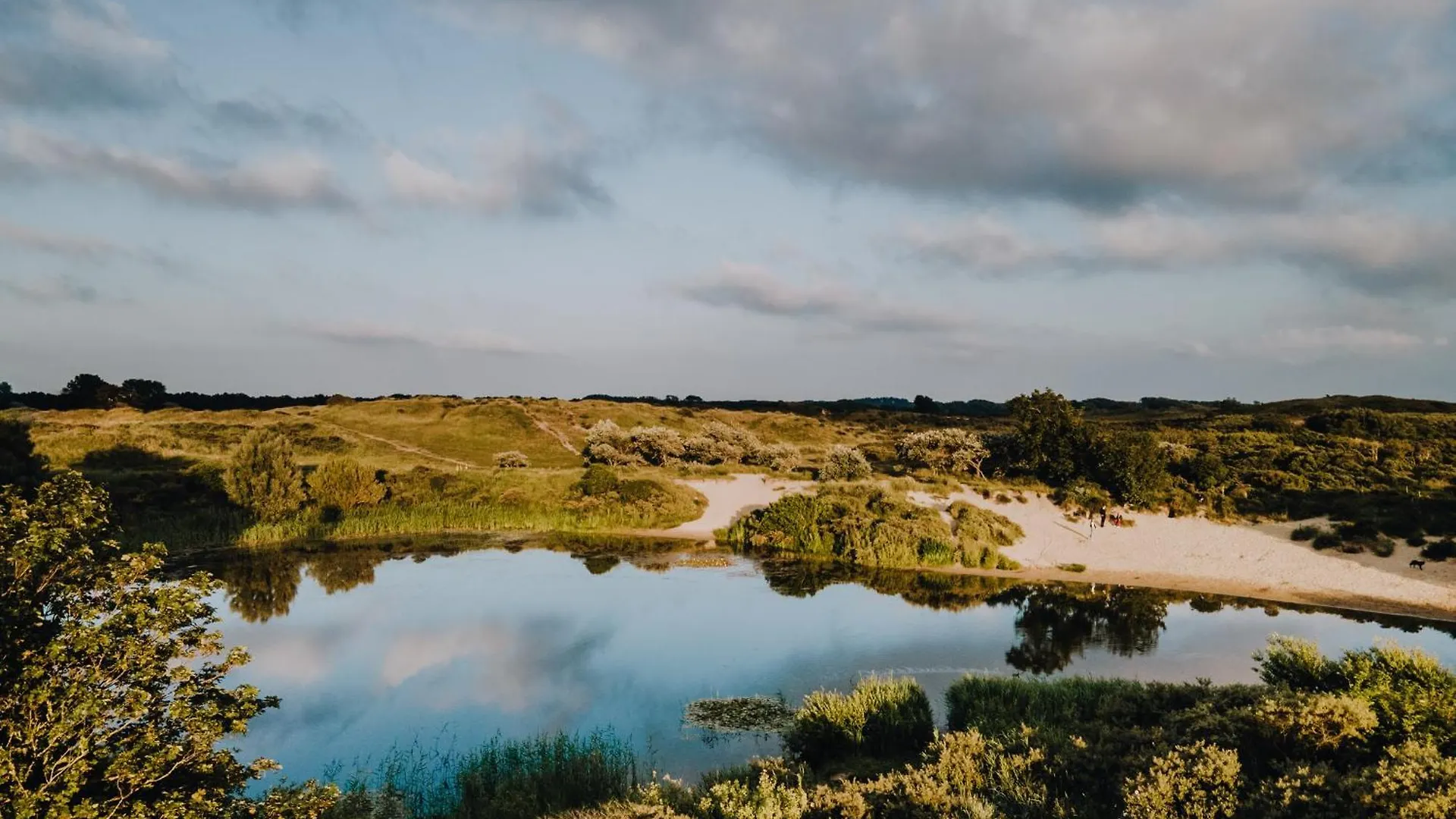 Ferienwohnung 'T Schelpje With Free Parking Zandvoort Niederlande